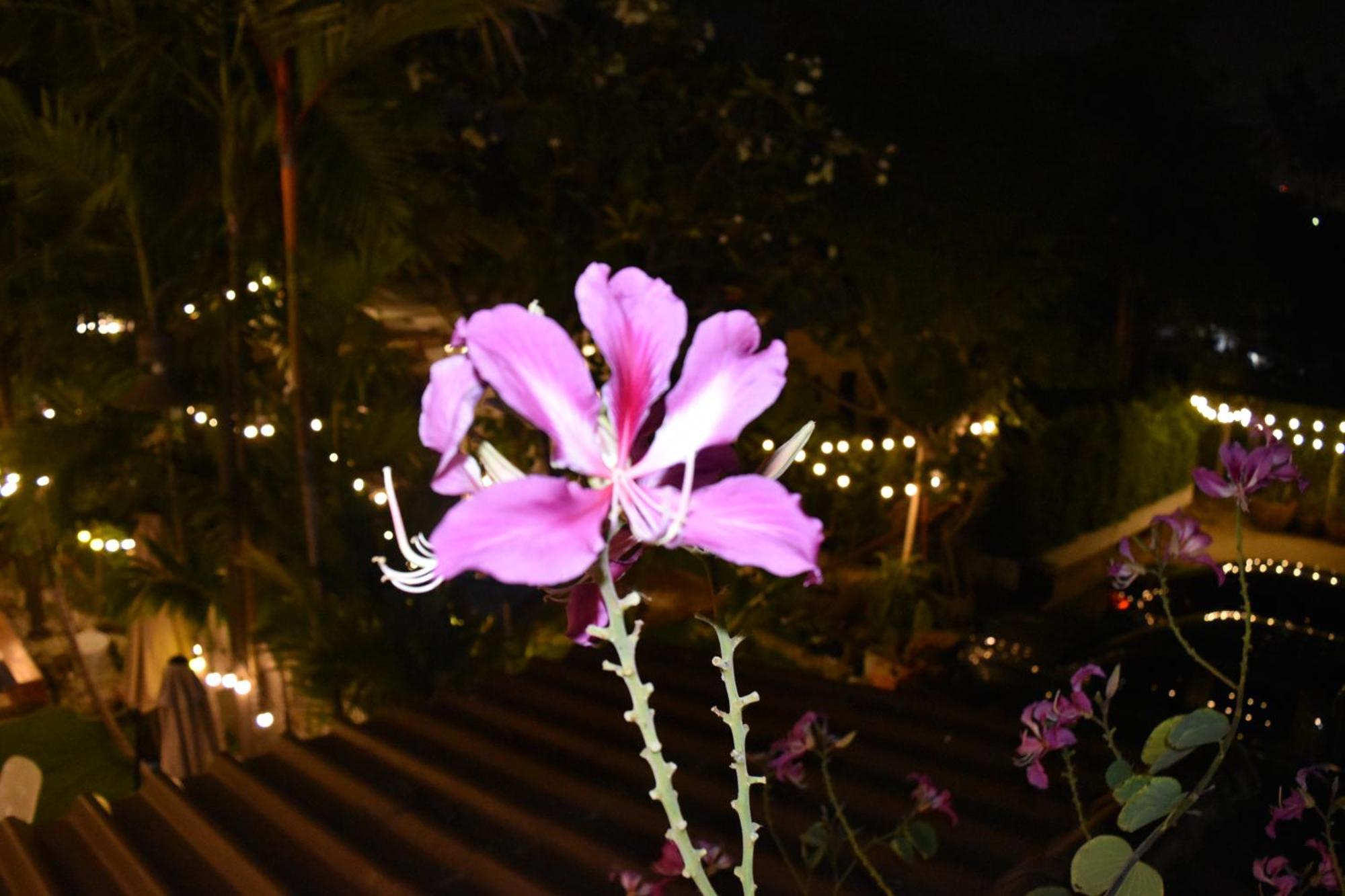 Hotel Thongtara House Boutique Srinakarin Bangkok Zewnętrze zdjęcie